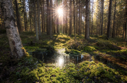 Easter Holidays in Finland - office opening hours in HaminaKotka port Hacklin Hamiko Finland