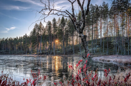 hacklin calendar photo - finnish nature captured by finnish photographer Asko Kuittinen