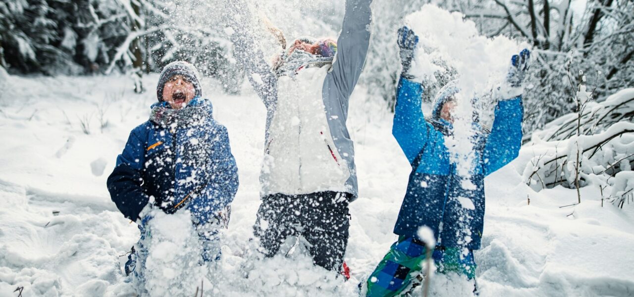 KymLI Hacklin Hamiko support